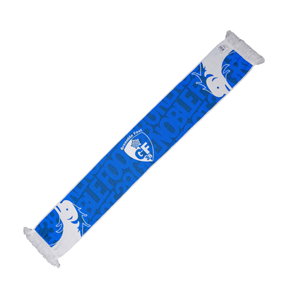 ÉCHARPE DAUPHINS GRENOBLE FOOT 38