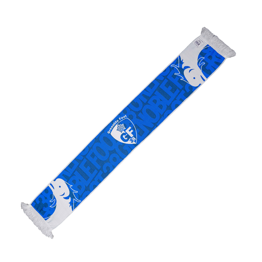 ÉCHARPE DAUPHINS GRENOBLE FOOT 38