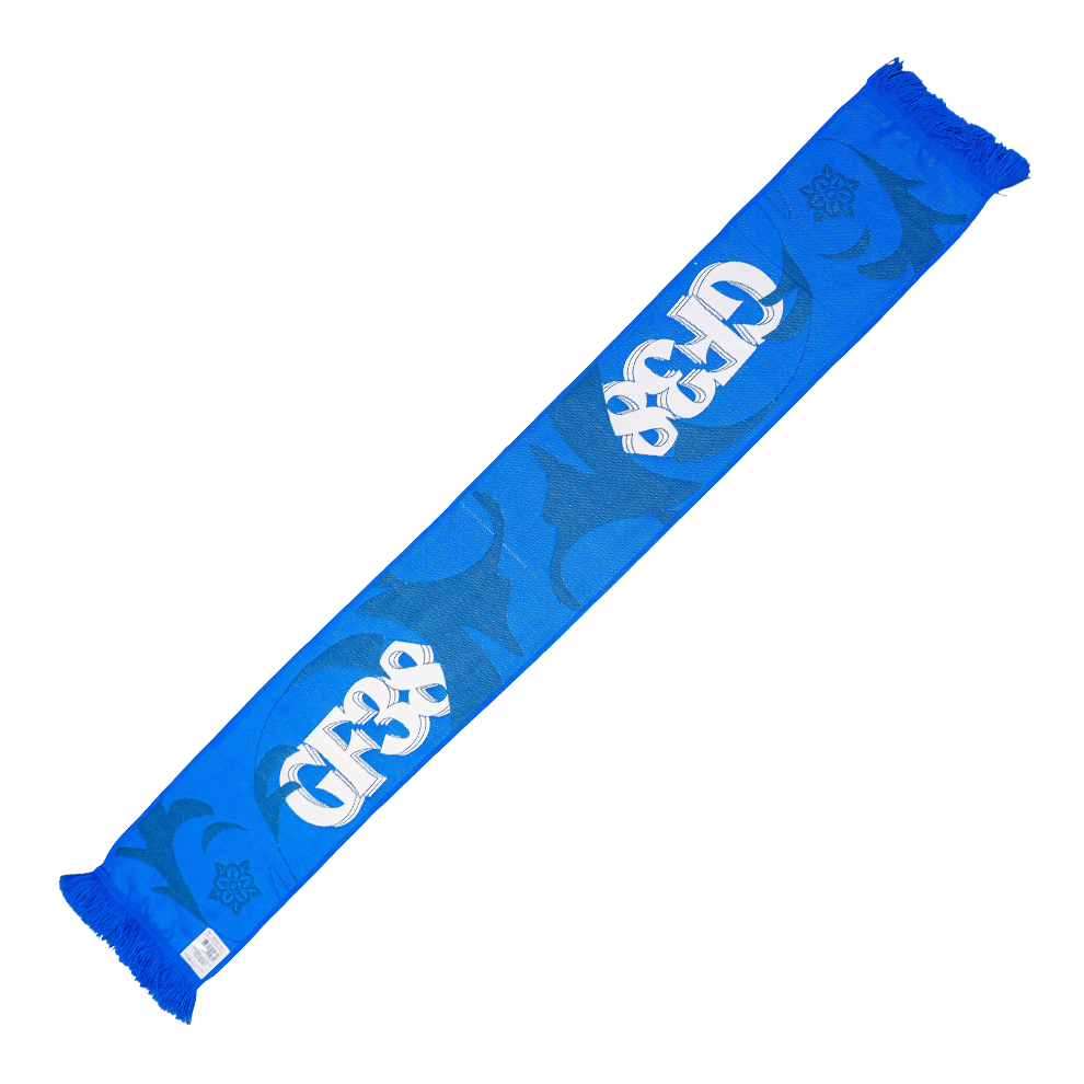 ÉCHARPE DAUPHINS GF38